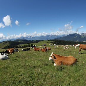 26 - Giro di Pioverna | © Azienda per il Turismo Alpe Cimbra