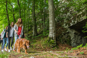 Tour of the Nosellari Trenches | © Azienda per il Turismo Alpe Cimbra