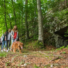Percorso delle trincee di Nosellari | © Azienda per il Turismo Alpe Cimbra