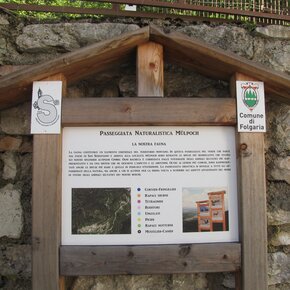 L'inizio del percorso | © Unknown