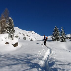 On the way | © APT Fiemme Cembra