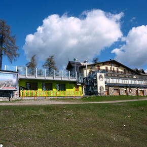 Passeggiata Rifugio Albasini – Malga di Dimaro | © APT Valli di Sole, Peio e Rabbi