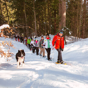 Snowshoeing | © APT Dolomiti di Brenta e Paganella