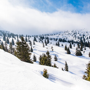 Winter | © APT Dolomiti di Brenta e Paganella