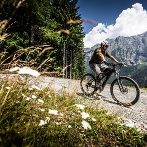Percorso Via Vecchia | © APT Madonna di Campiglio, Pinzolo, Val Rendena