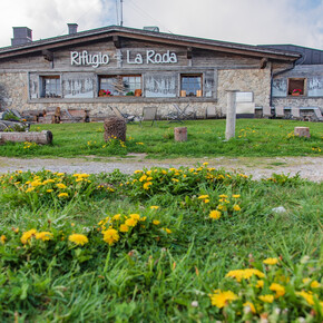 Cima Paganella | © APT Dolomiti di Brenta e Paganella
