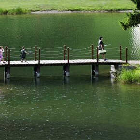 Sentiero Bedollo - Brusago | © Azienda per il Turismo Altopiano di Piné e Valle di Cembra