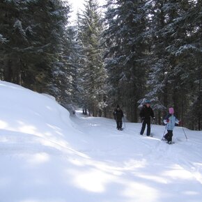 Orti forestali | © APT San Martino di Castrozza