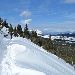 Rientro da monte Maggio | © Unknown