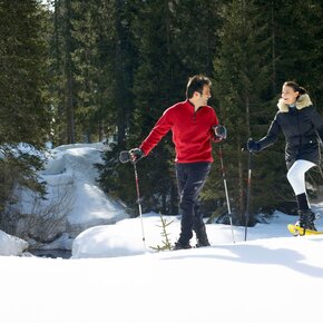 Panorama Sentiero "dei Siori" | © Madonna di Campiglio Azienda per il Turismo 