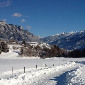Passeggiare a Spianez | © APT Fiemme Cembra
