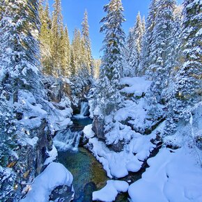 Travignolo Bach | © APT Fiemme Cembra