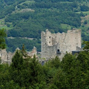 La Foresta Nascosta di Castel Romano: Percorso botanico e storico | © APT Madonna di Campiglio, Pinzolo, Val Rendena