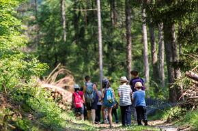 Spaziergang im Wald in Terragnolo | © APT Rovereto Vallagarina Monte Baldo