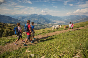 Von Rifugio Graziani bis zum Campo Alm | © APT Rovereto Vallagarina Monte Baldo