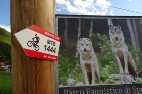 Tour 1444 – Bear No Fear: Auf den Spuren der Bären | © APT Val di Non 