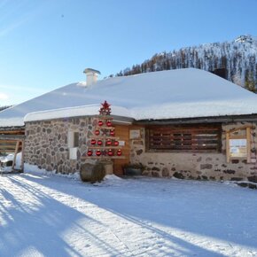 Ciaspolata Malga Valcigolera | © APT San Martino di Castrozza, Primiero e Vanoi