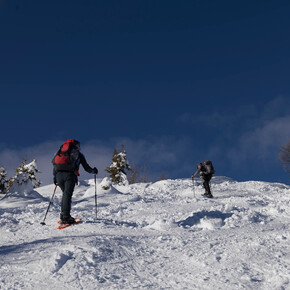 Anstieg zum Gipfel Pissola | © Consorzio Turistico Valle del Chiese