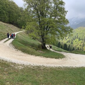 Geotrail Gemme del Baldo | © Unknown