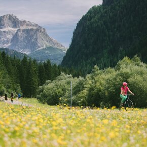 Pista ciclabile delle Dolomiti ©Archivio APT Val di Fassa | © APT Val di Fassa