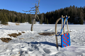 Schlittenfahrt von der Malga St. Felix hinunter | © APT Val di Non 