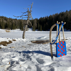 Schlittenfahrt von der Malga St. Felix hinunter | © APT Val di Non 