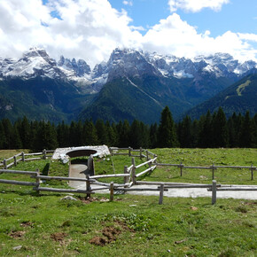 Easy walk Patascoss - Malga Ritort | © Madonna di Campiglio Azienda per il Turismo 