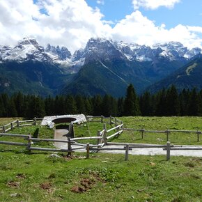 Passeggiata Patascoss - Malga Ritort | © Madonna di Campiglio Azienda per il Turismo 