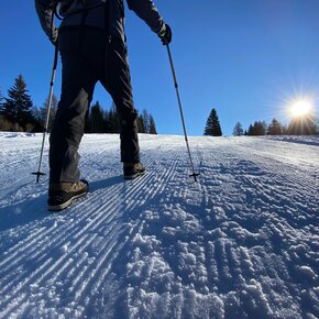Doss sa Spin, wintertrekking in Predaia Val di Non | © APT Val di Non 