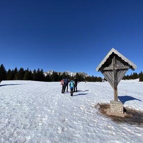 Anello tra malga Lauregno e il panoramico Monte Ori nel Gruppo delle Maddalene | © APT Val di Non 
