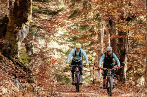 E-Bike in the woods | © APT Dolomiti di Brenta e Paganella