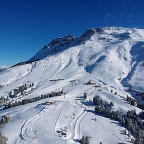 Rodelpiste Pampeago | © APT Fiemme Cembra