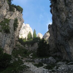 Ferrata dino buzzati cimerlo - sentiero dei cacciatori | © VisitTrentino