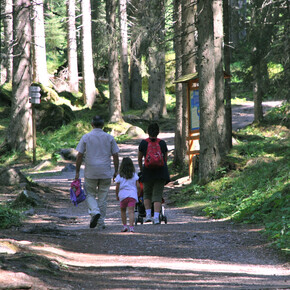 Walk on the Sentiero Marciò | © APT San Martino di Castrozza, Primiero e Vanoi
