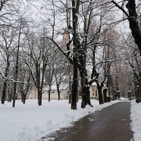 Il percorso tra i tigli | © APT Fiemme Cembra