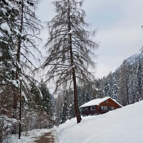 Propian | © APT Fiemme Cembra