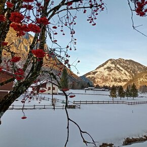 Vista verso il Monte Mulat | © APT Fiemme Cembra