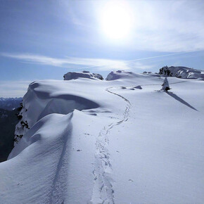 Monte Roen mit Skitourenski im Winter | © APT Val di Non 