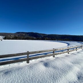 Passeggiata sulla neve battuta al laghetto di Dovena, in Val di Non Trentino | © APT Val di Non 