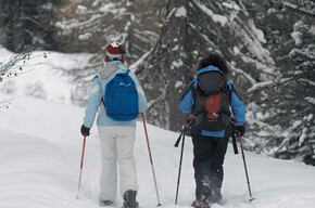 Auf dem Weg | © APT Fiemme Cembra