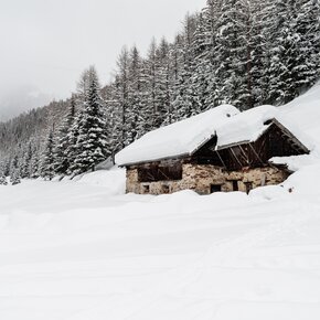 Masi in val di peio sotto la neve | © APT Valli di Sole, Peio e Rabbi