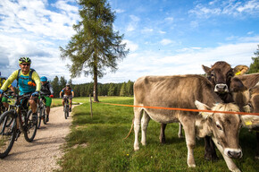 Tour 1416 - Sissis Liebling | © APT Val di Non 