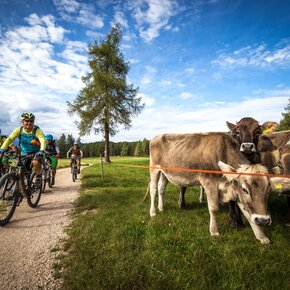 Tour 1416 - Sissi's favourite | © APT Val di Non 