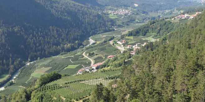 Vista dalle trincee | © APT Valli di Sole, Peio e Rabbi