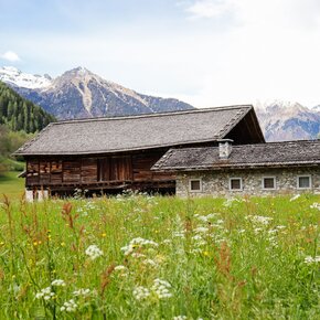 Maso Curio | © Madonna di Campiglio Azienda per il Turismo 