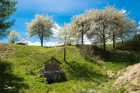 Maso | © Madonna di Campiglio Azienda per il Turismo 