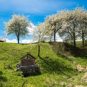 Maso | © Madonna di Campiglio Azienda per il Turismo 