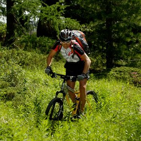 MTB - Giro di Musiera 2350 | © APT Valsugana e Lagorai