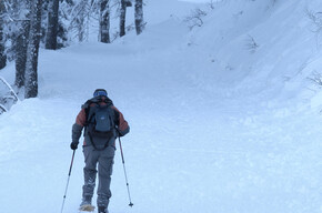 Snowshoe route - Passo 5 Croci | © APT Valsugana e Lagorai