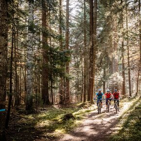 Prati di Gaggia - Acqua delle Scudelle - punto panoramico | © APT Dolomiti di Brenta e Paganella